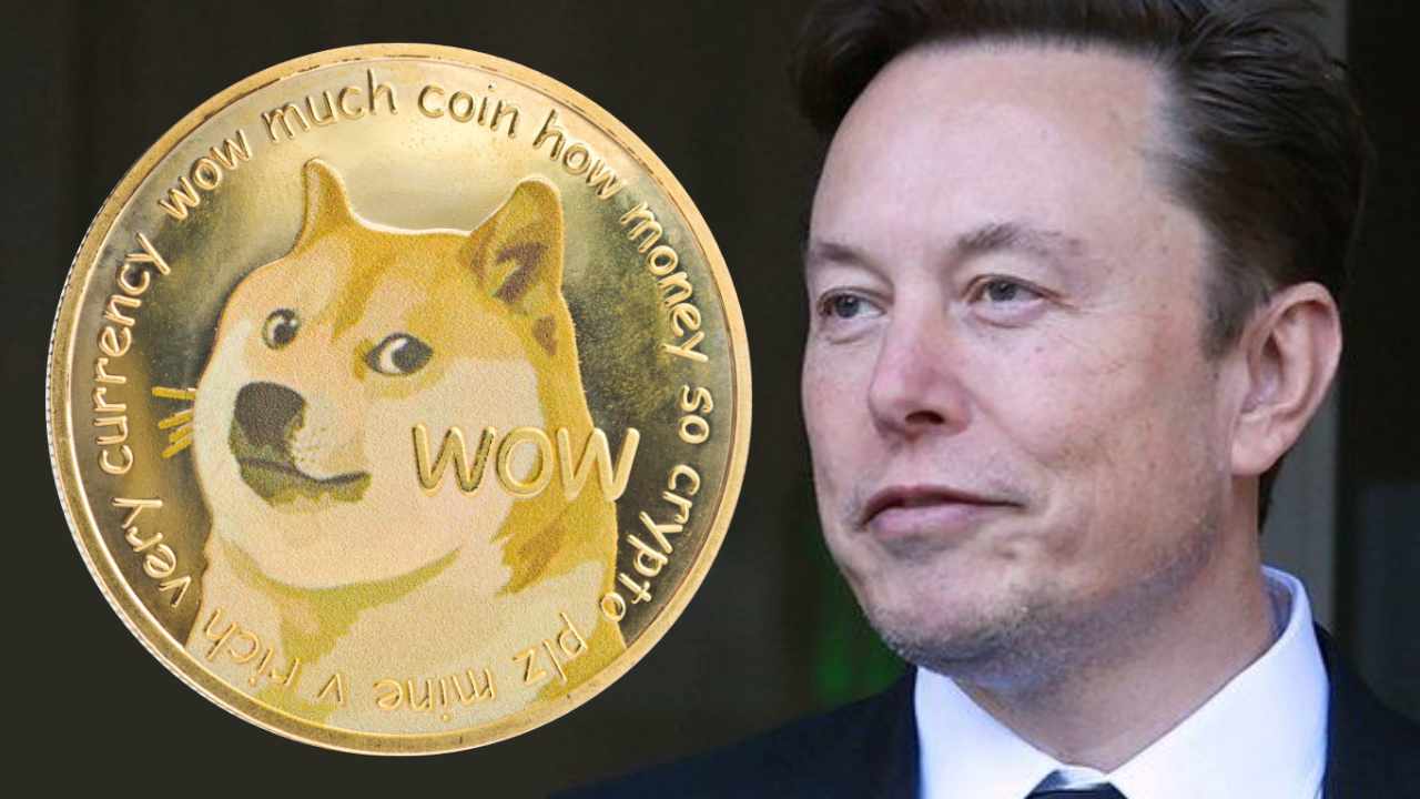 Elon Musk is accused of insider trading by investors in Dogecoin lawsuit | Reuters