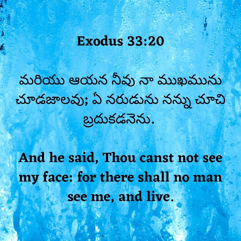 exodus meaning in Telugu | exodus translation in Telugu - Shabdkosh
