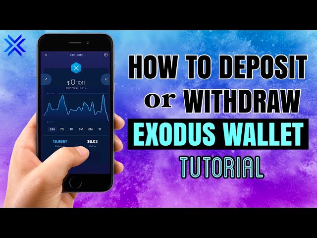 How to Withdraw Crypto from Exodus Wallet - Zengo