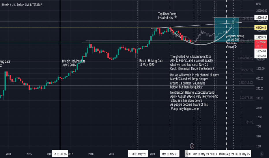 The Bitcoin Halving Unveiled: Key Highlights and Insights