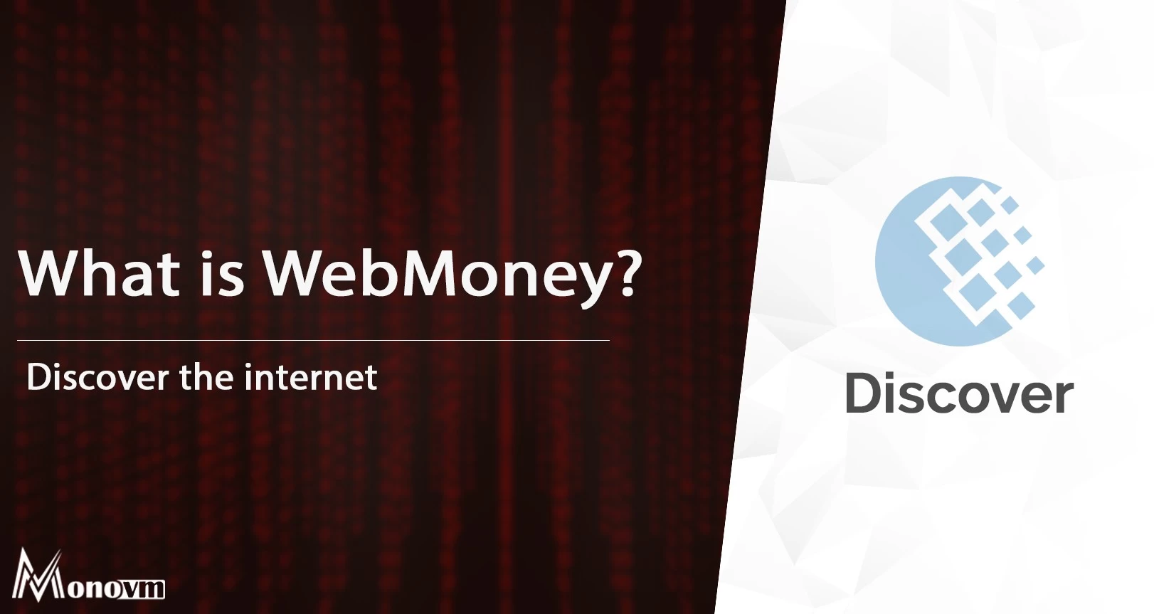 WebMoney VPS from HostZealot