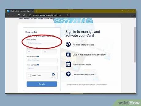 Gift Card Balance and Transaction History | American Express®