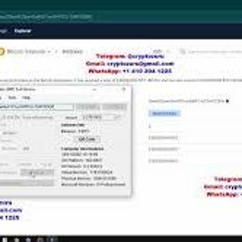 Fake Bitcoin Sender Software Fake BTC Sender Tool by Cyberhacklord on DeviantArt