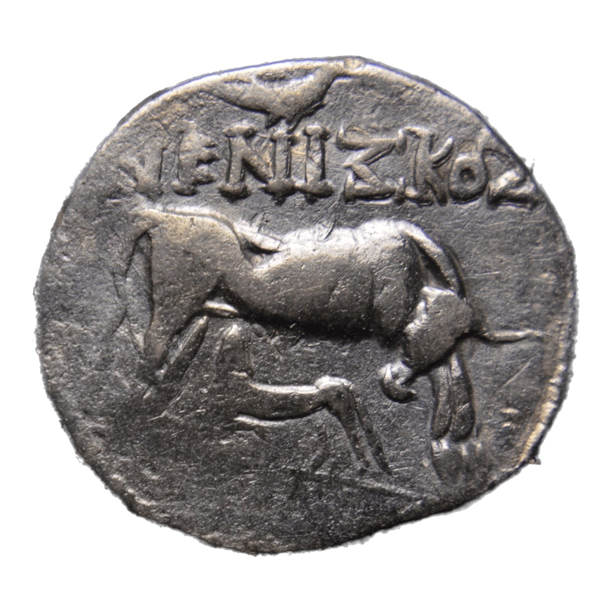 Ancient Greek Coins | San Diego Coin & Bullion Store