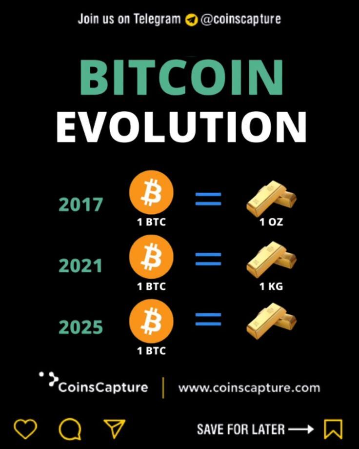 Bitcoin Evolution Review What You Need to Know