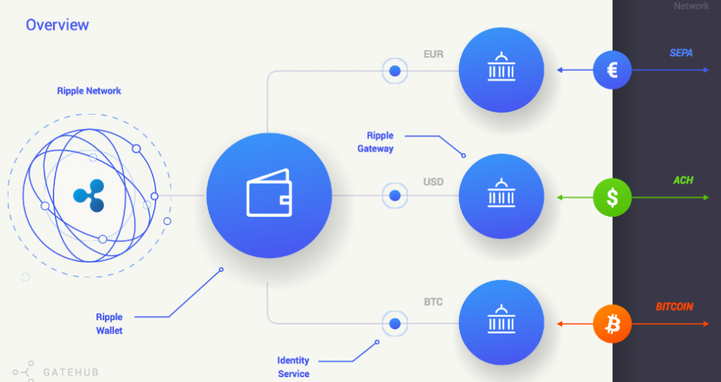 What is Ripple & How Does it Work? XRP for Beginners | CoinJournal