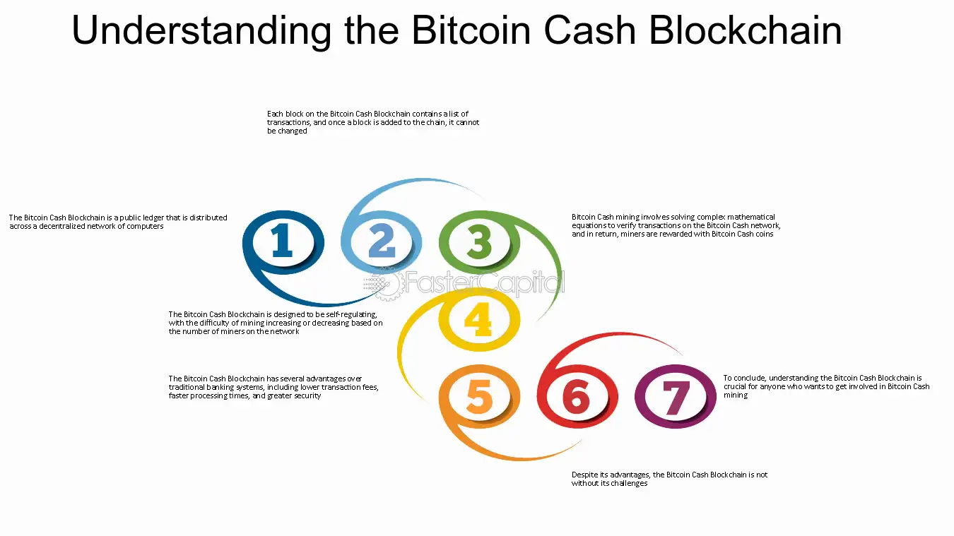 Bitcoin Cash Node