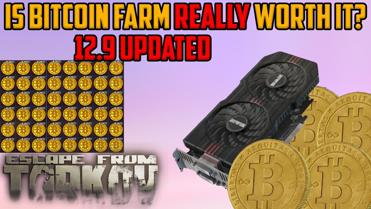 Escape from Tarkov: Is the bitcoin farm worth it in ?