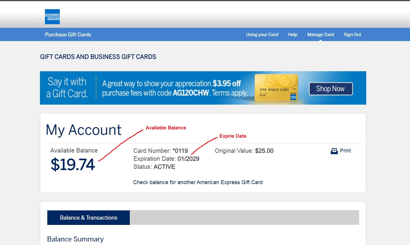 American express gift card balance - Check Balance