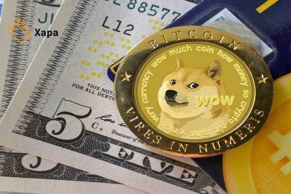 Trade Dogecoin for Bitcoin - DOGE to BTC No KYC - Evonax