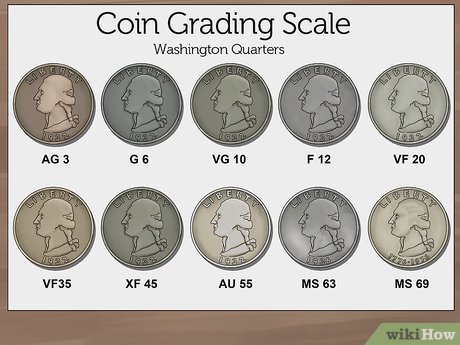 A Comprehensive 5-Step Guide to Submitting Coins for PCGS Grading - Silverpicker