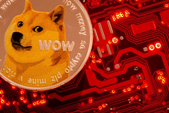 Dogecoin USD ve DOGE-USD fiyat geçmişi grafiğindeki fiyat