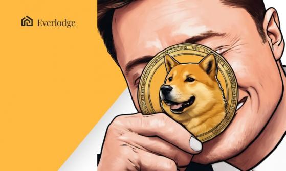 How to Buy Dogecoin (DOGE) - NerdWallet