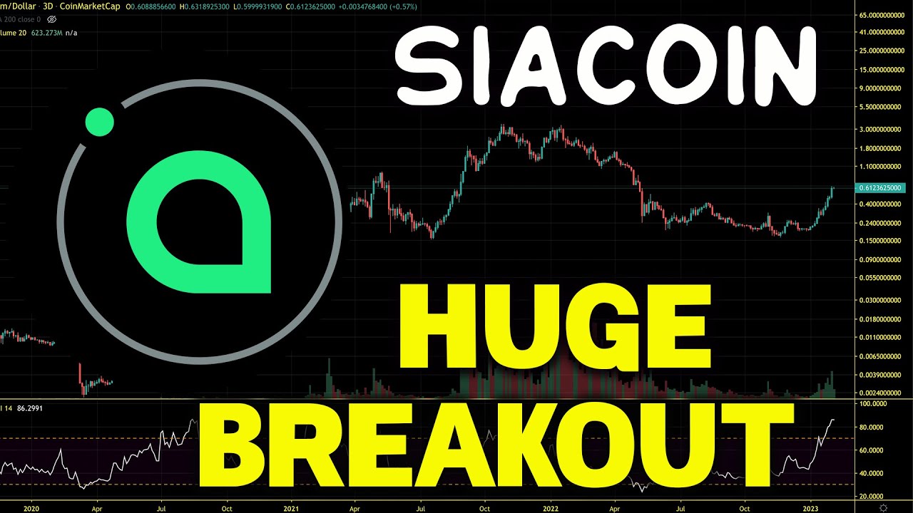 Siacoin Price Prediction Future Outlook and Analysis