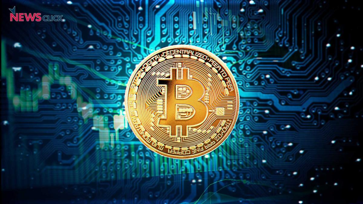 Cryptoverse: Shrimps and whales keep bitcoin afloat - The Economic Times