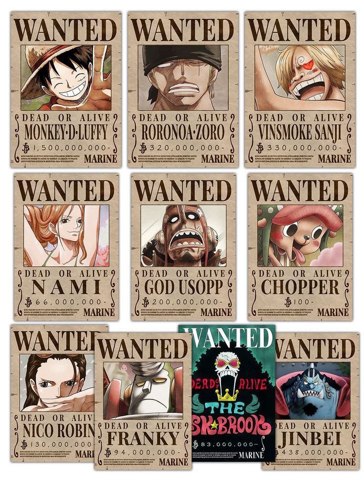 Who Has The Highest Bounty In One Piece?