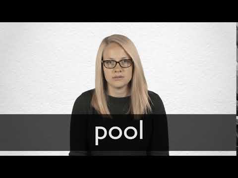 pool meaning in Hindi | pool translation in Hindi - Shabdkosh