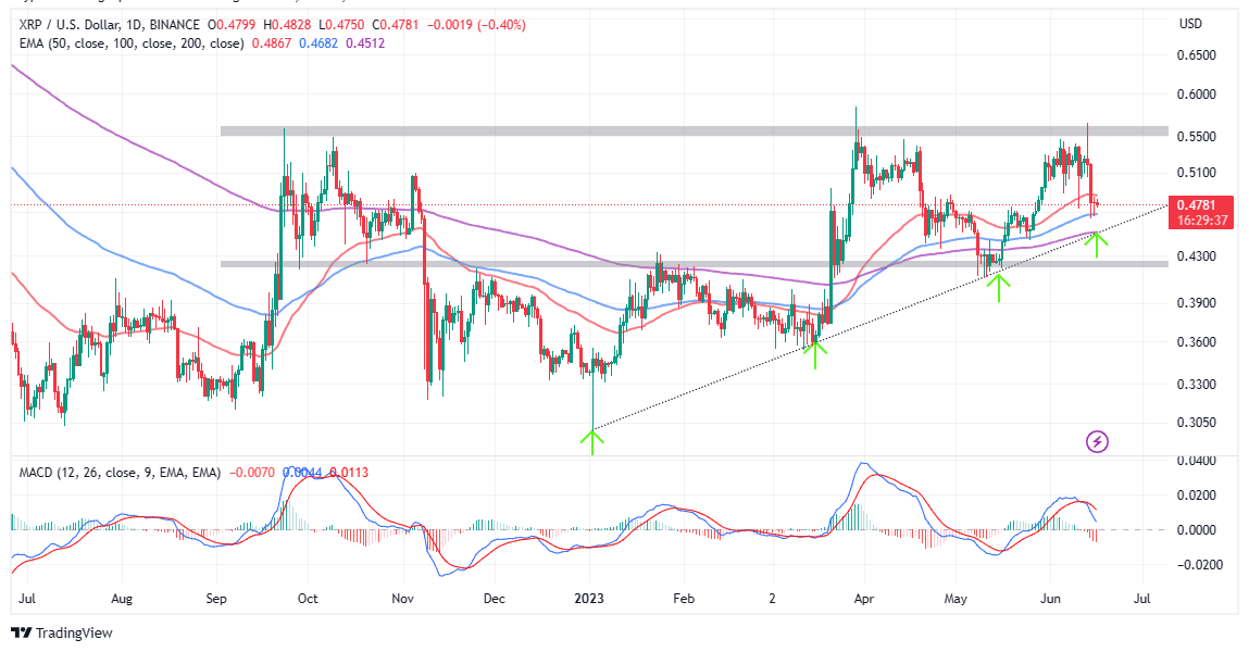 XRP Price Today - XRP Price Chart & Market Cap | CoinCodex