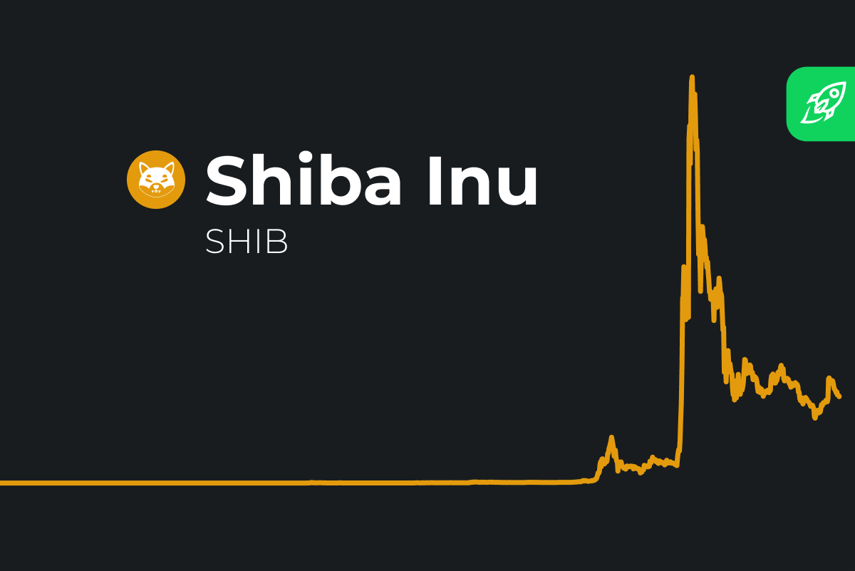 Shiba Inu Coin Price Prediction & Can It Explode? | CoinCodex