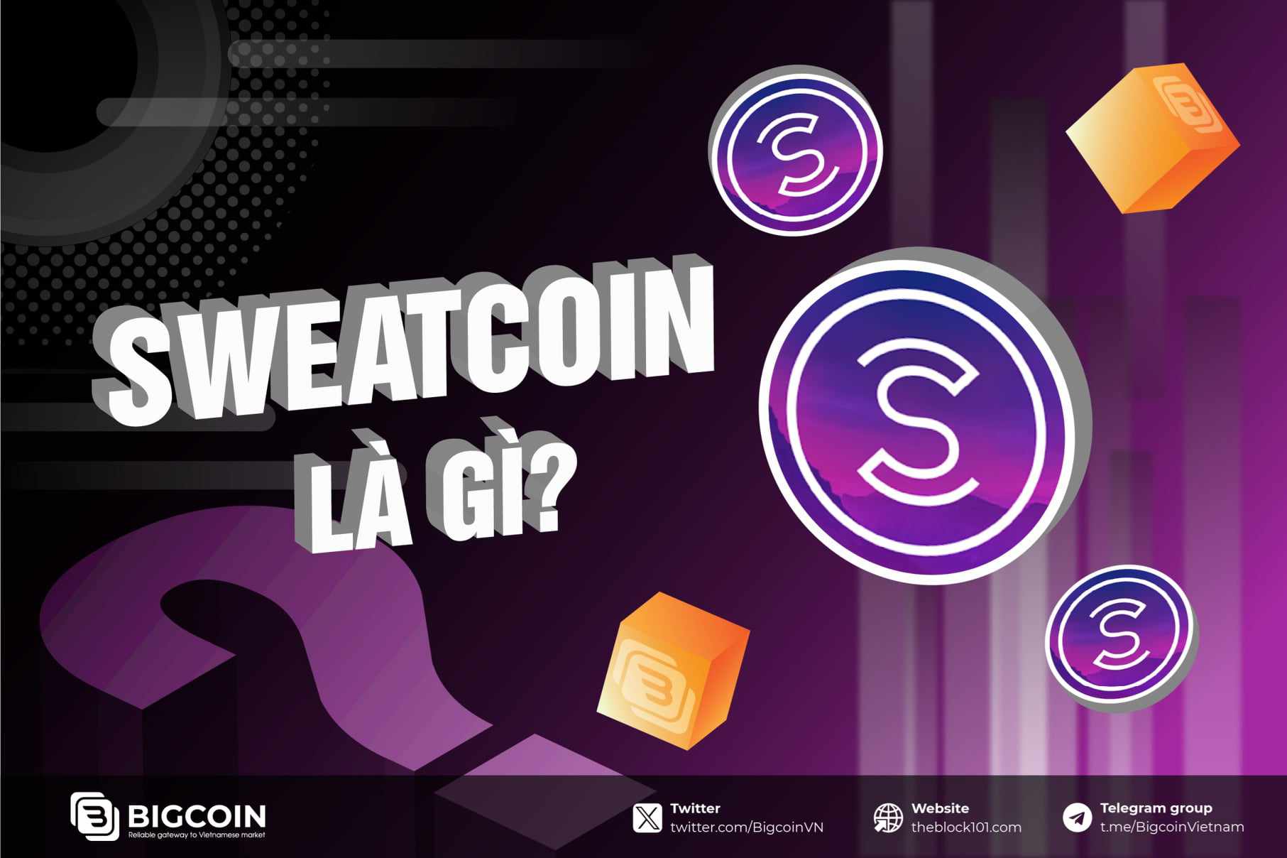 Sweatcoin Review Crypto Rewards for Walking | The Smart Wallet