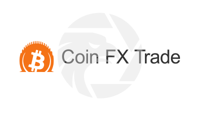 The Coin FX Academy - TSCourses