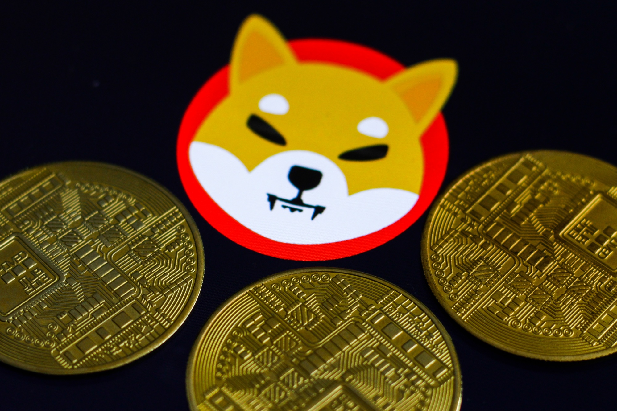 Shiba Inu Price | SHIB Price index, Live chart & Market cap | OKX