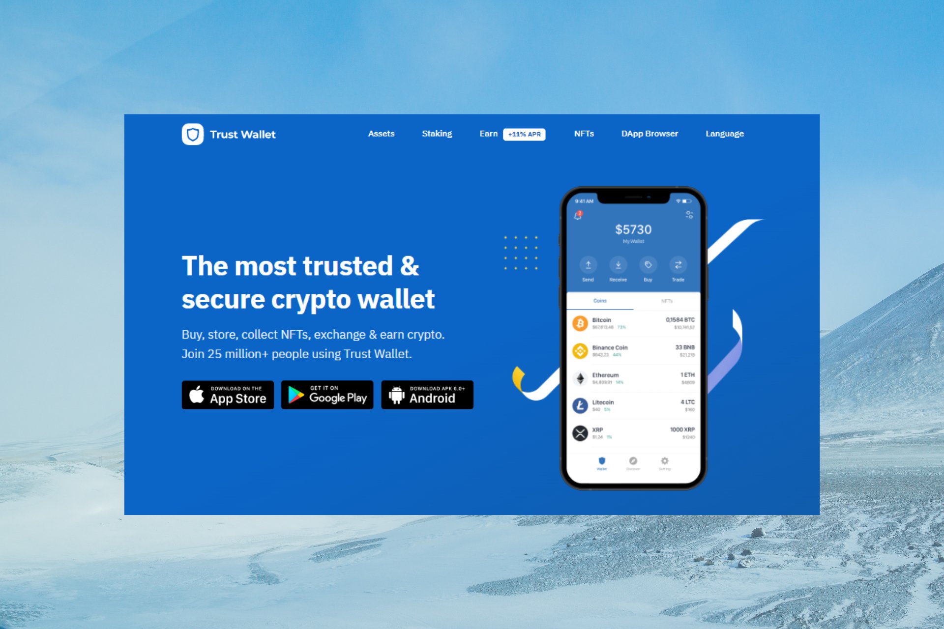 How to Use the Trust Wallet Browser Extension in the Brave Browser | Trust