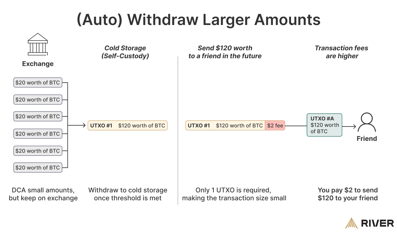 UTXO Model: Definition, How It Works, and Goals