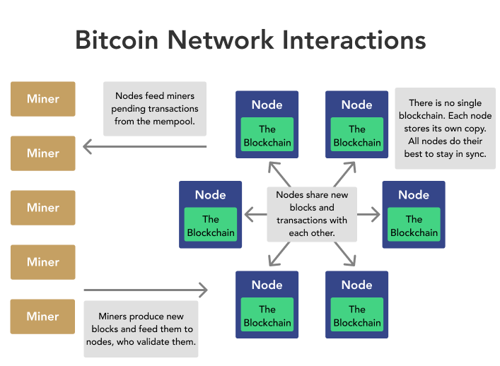 What Are Blockchain Nodes and How Do They Work? | Built In