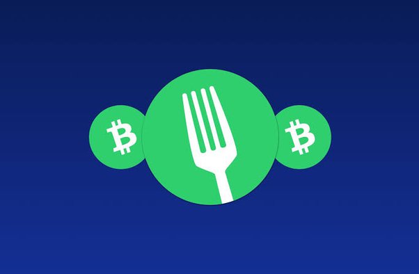 The Upcoming Bitcoin Cash Hard Fork : What You Need to Know?