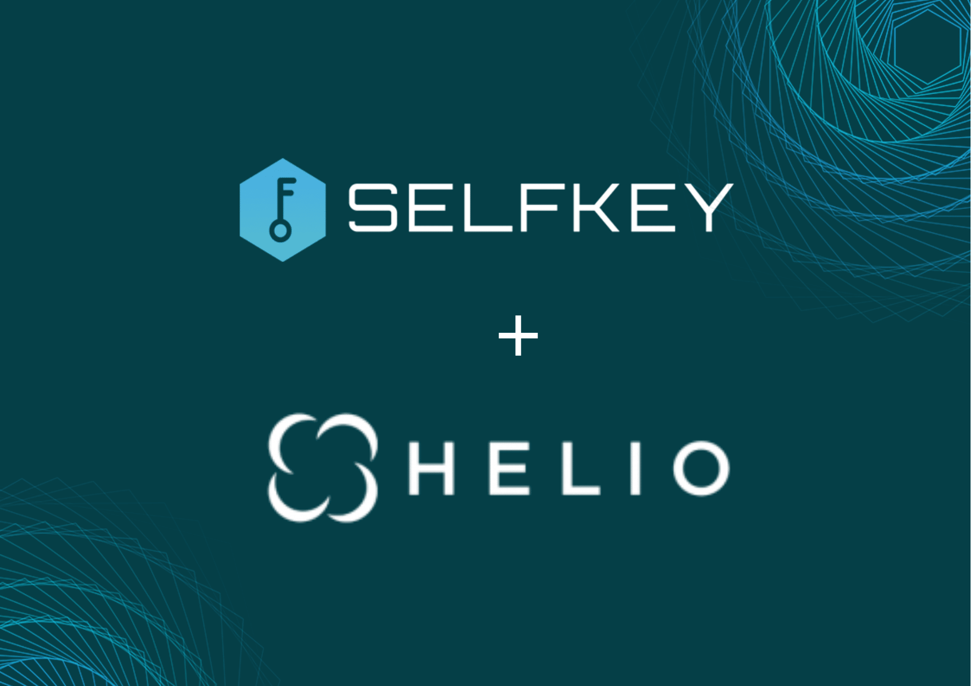 SelfKey (KEY) Review: What You Need to Know | Beginners Guide