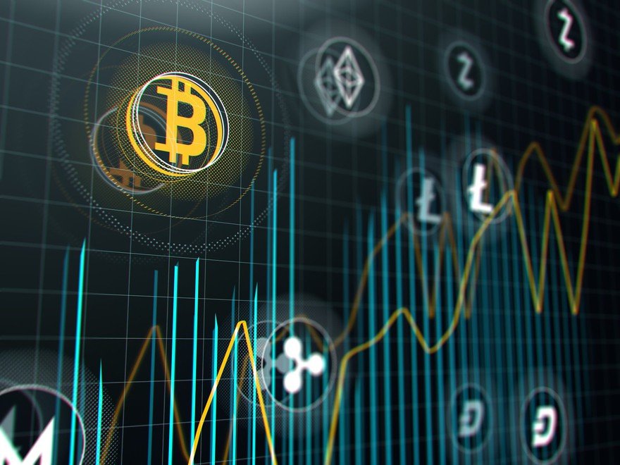 8 Crypto to consider buying now for the next bull run in - The Economic Times