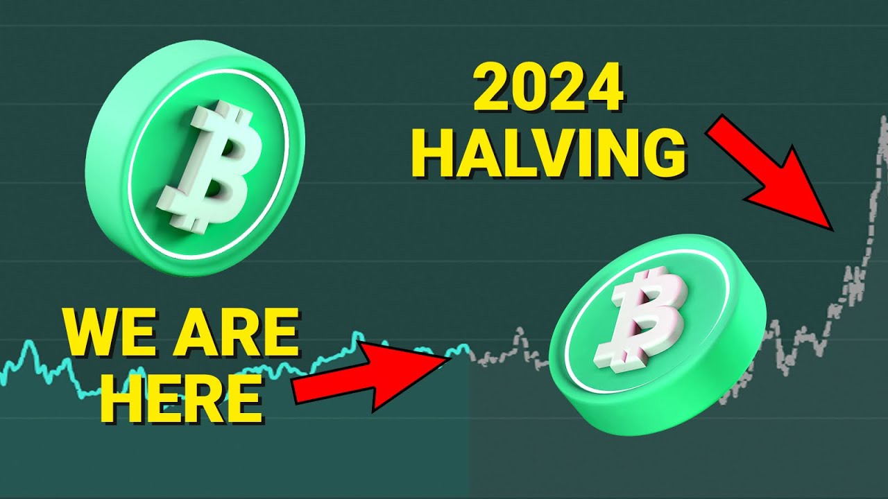 Bitcoin Cash treading a rocky path following first halving e