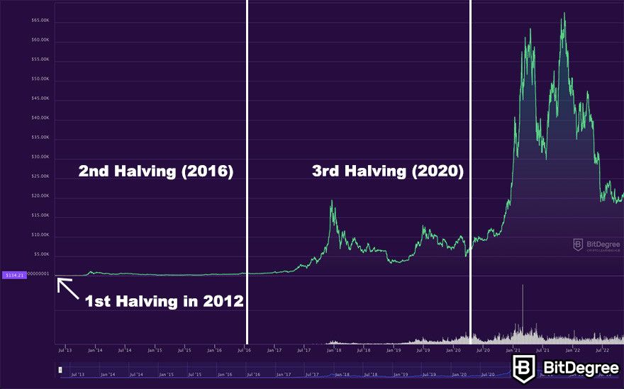 Most anticipated crypto event in The Bitcoin halving - The Economic Times