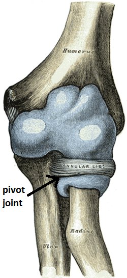 Degree Pivot Joint EVO 60 x 40mm Aluminium Joists - Online Shop - Swiftfix