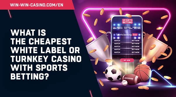 White Label Casino Cost: Beyond the Price Tag - Lion Gaming