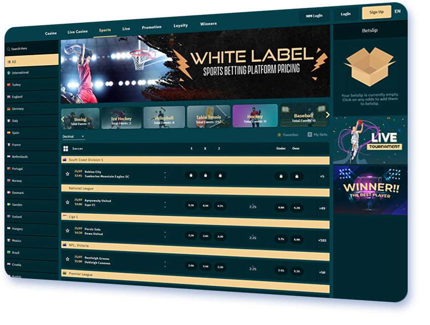 White Label Casino Software - Ready-to-Market Solutions