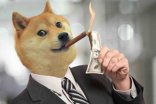 Dogecoin Price Prediction A Good Investment? | Cryptopolitan