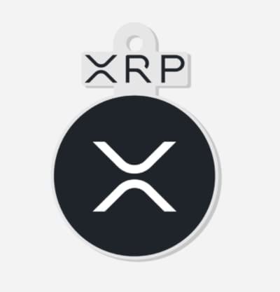 Xrp Logo: Over Royalty-Free Licensable Stock Vectors & Vector Art | Shutterstock