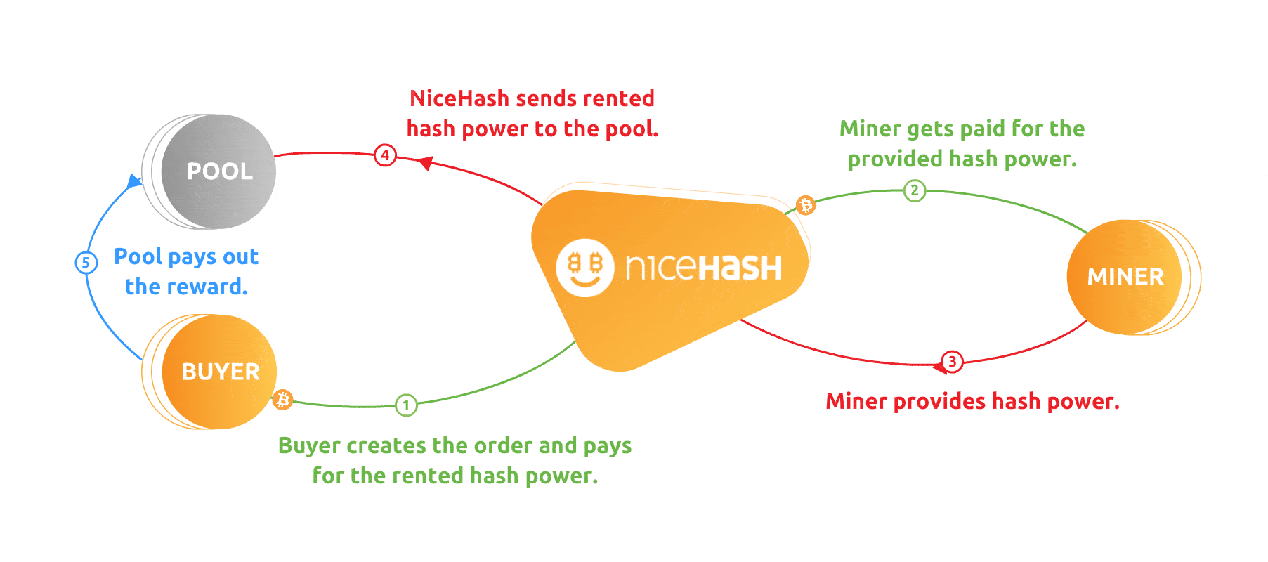 Trying Out the New Solo Mining Packages on NiceHash